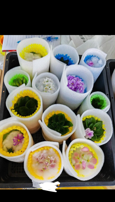 家庭养花用生根粉