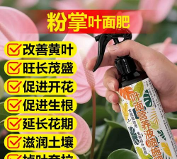 家庭养花用生根粉