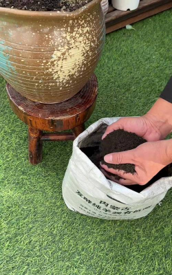 家庭养花用生根粉