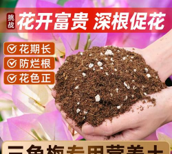 家庭养花用生根粉