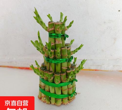 三层富贵塔怎么做