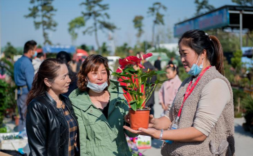 家庭养花用生根粉