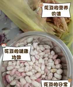 养花豆豆是什么