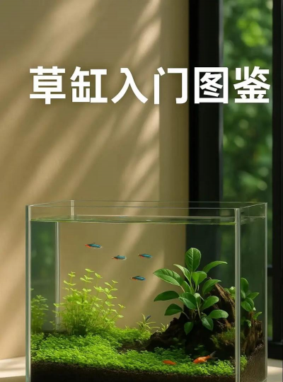鱼缸养花技巧
