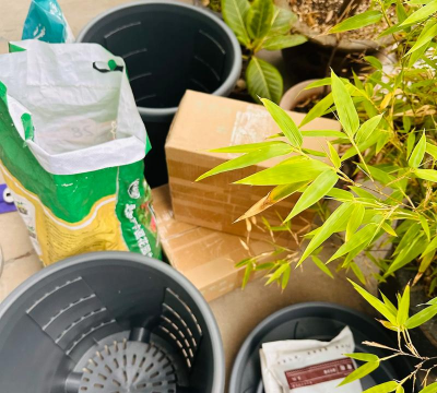 家庭养花用生根粉