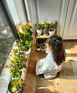 家庭养花用生根粉