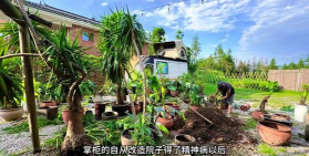 家庭养花用生根粉