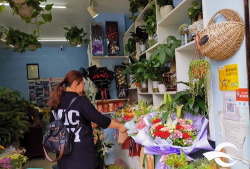 家庭养花用生根粉