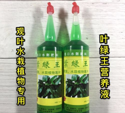 家庭养花用生根粉