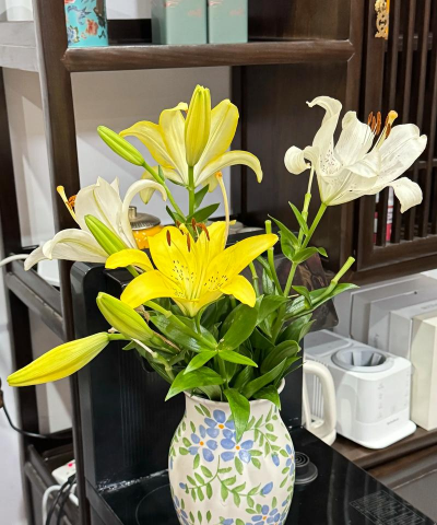 家庭养花用生根粉