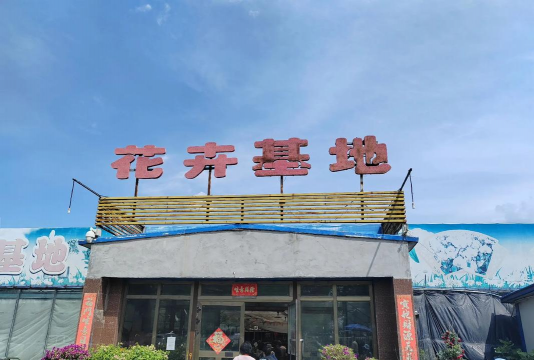 石河子花卉市场怎么去