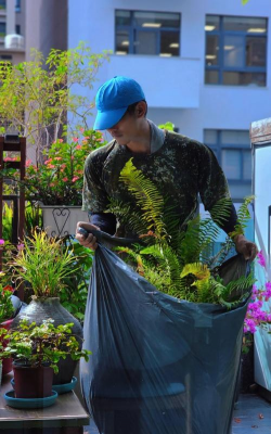 家庭养花用生根粉