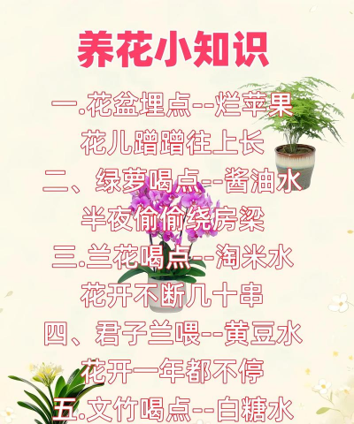 家庭养花用生根粉