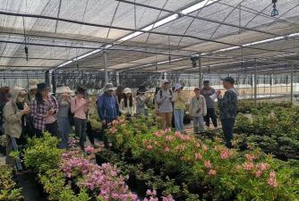 家庭养花用生根粉