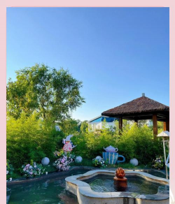 家庭养花用生根粉