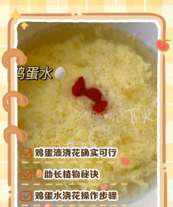 家庭养花用生根粉