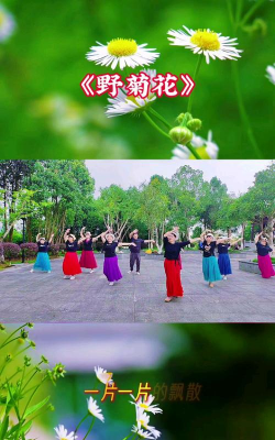 广场舞养花
