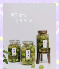 青梅酒养花