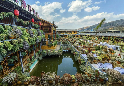 家庭养花用生根粉