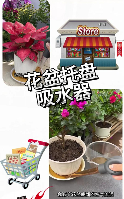 家庭养花用生根粉