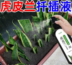 家庭养花用生根粉