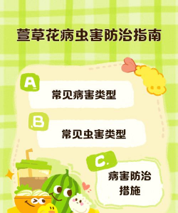 萱草遭受病虫害应怎么办 萱草遭受病虫害应怎么办