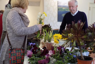 家庭养花用生根粉