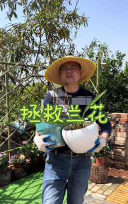 家庭养花用生根粉