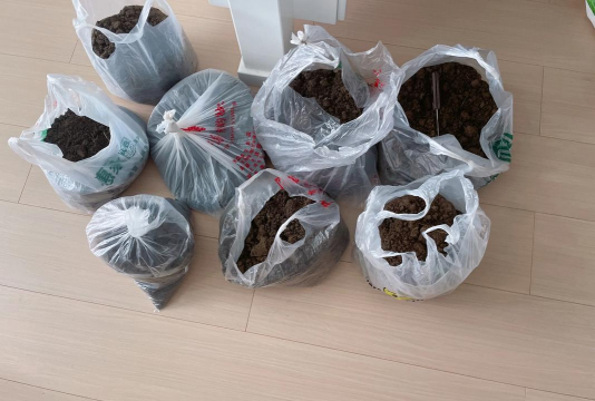 家庭养花用生根粉