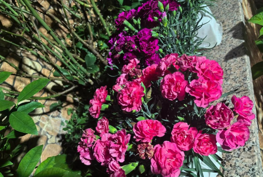 绿化景观设计，提升环境品质，创造宜人空间