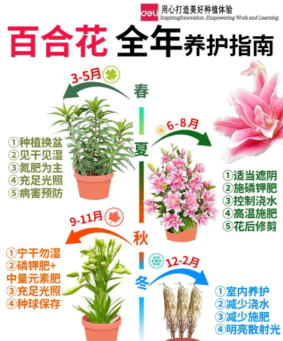 绿化景观设计，提升环境品质，创造宜人空间