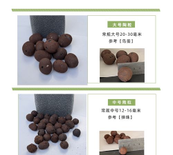 别墅园林绿化设计，打造私密空间，提升居住品质