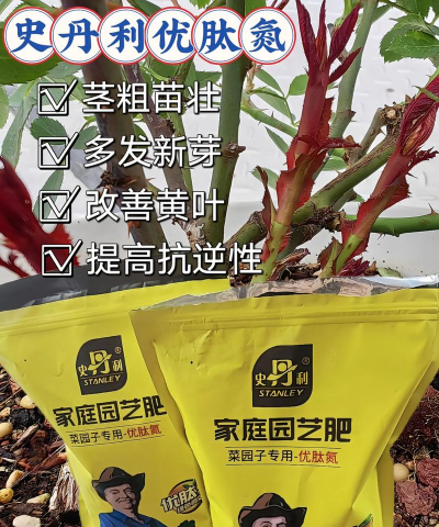 别墅园林绿化设计，打造私密空间，提升居住品质