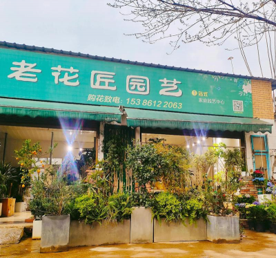 家庭养花用生根粉