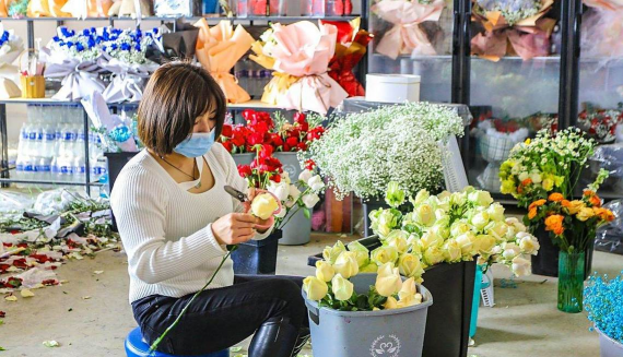 家庭养花用生根粉