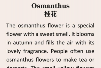 四季桂花英文怎么说