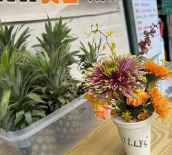 家庭养花用生根粉