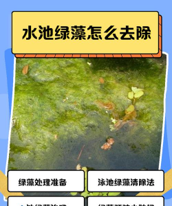 哪些植物不能放入沼气池