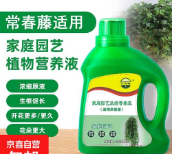 家庭养花用生根粉