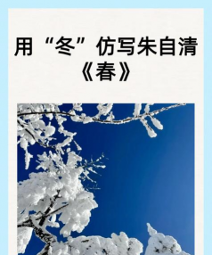 南迎春如何越冬