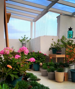 阳光房种花地应该怎么铺