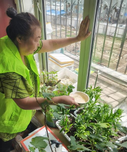 家庭养花用生根粉