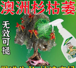 家庭养花用生根粉