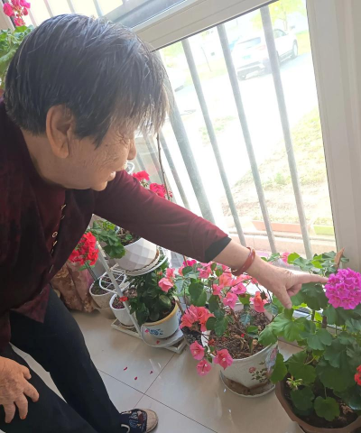 家庭养花用生根粉