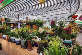 家庭养花用生根粉