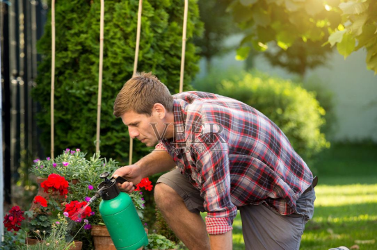 家庭养花用生根粉