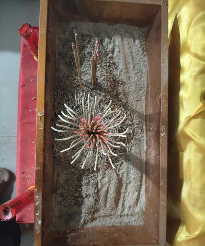 家庭养花用生根粉