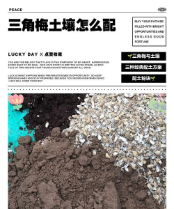 家庭养花用生根粉