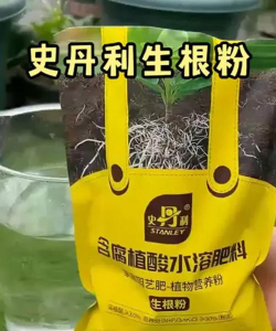 家庭养花用生根粉