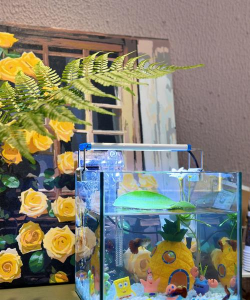 家庭养花用生根粉